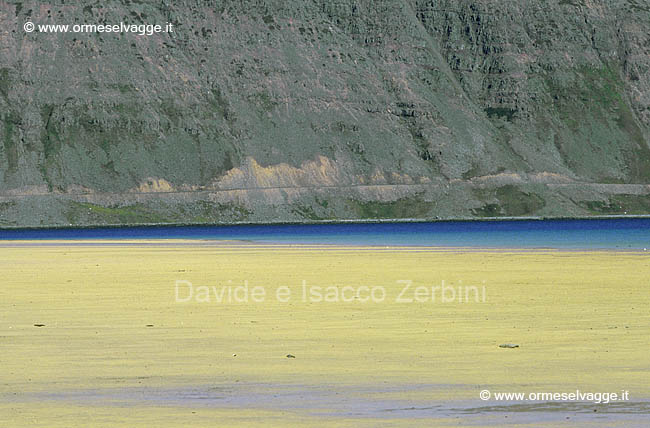 Spiaggia e scogliera 33-25-09